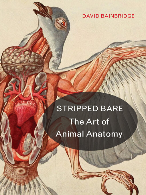 Cover image for Stripped Bare